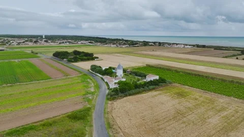 Fields and Grape plantations from a drone, Saint-Clement-des-Baleines, France Stock-Footage 312360446