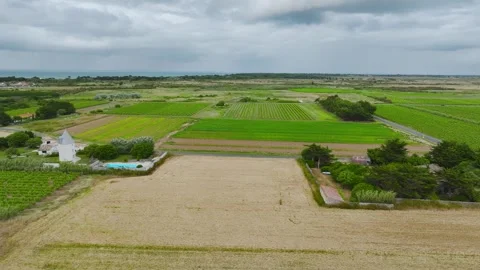 Fields and Grape plantations from a drone, Saint-Clement-des-Baleines, France Vidéo 312360449