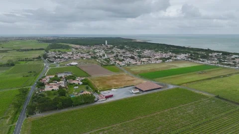 Fields and Grape plantations from a drone, Saint-Clement-des-Baleines, France Vidéo 312360459