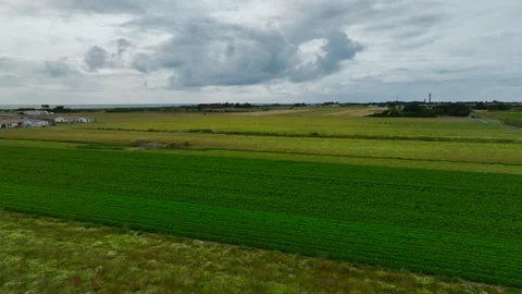 Fields and Grape plantations from a drone, Saint-Clement-des-Baleines, France Vidéo 312360481