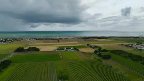 Fields and Grape plantations from a drone, Saint-Clement-des-Baleines, France Vidéo 312360490