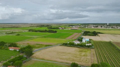 Fields and Grape plantations from a drone, Saint-Clement-des-Baleines, France Vidéo 312360495