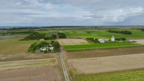 Fields and Grape plantations from a drone, Saint-Clement-des-Baleines, France Vidéo 312360504