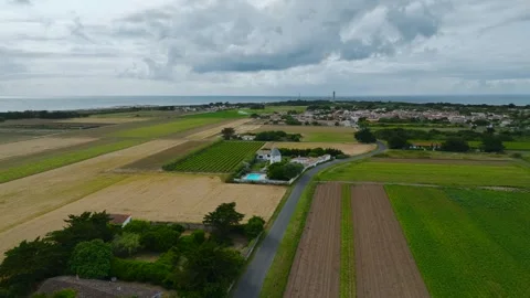 Fields and Grape plantations from a drone, Saint-Clement-des-Baleines, France Vidéo 312360507