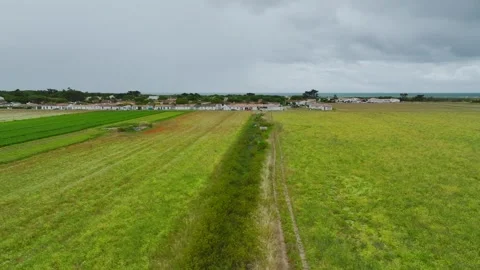 Fields and Grape plantations from a drone, Saint-Clement-des-Baleines, France Vidéo 312360518
