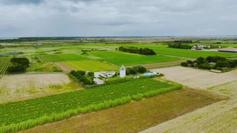 Fields and Grape plantations from a drone, Saint-Clement-des-Baleines, France Vidéo 312360600