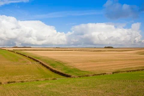 Fields and hedgerows Stock Photos