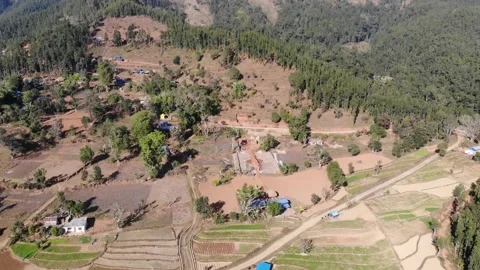 Fields and Jungle. Stock Footage 170883008