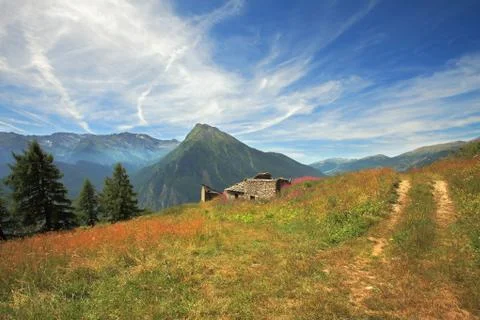 Fields and meadows in alps. Foto stock