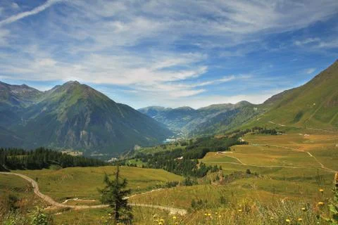 Fields and meadows in alps. Stock Photos