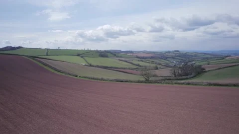 Fields and Meadows over Labrador Bay and Ness Cove Beach from a drone, Devon 動画素材 174718557