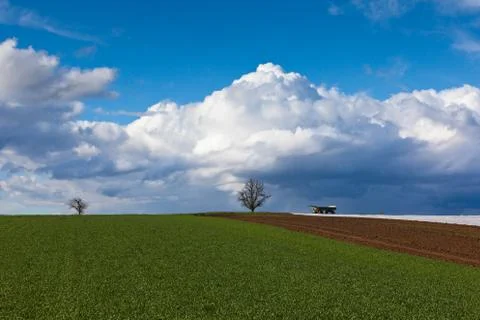 Fields and meadows in spring Stock Photos