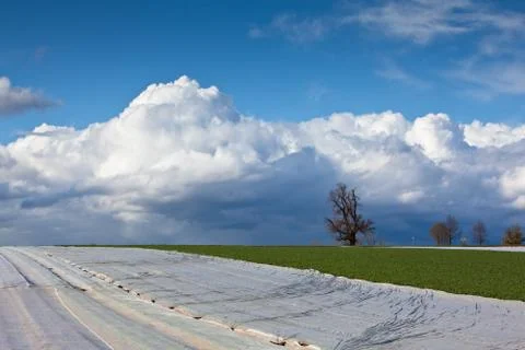 Fields and meadows in spring Stock Photos