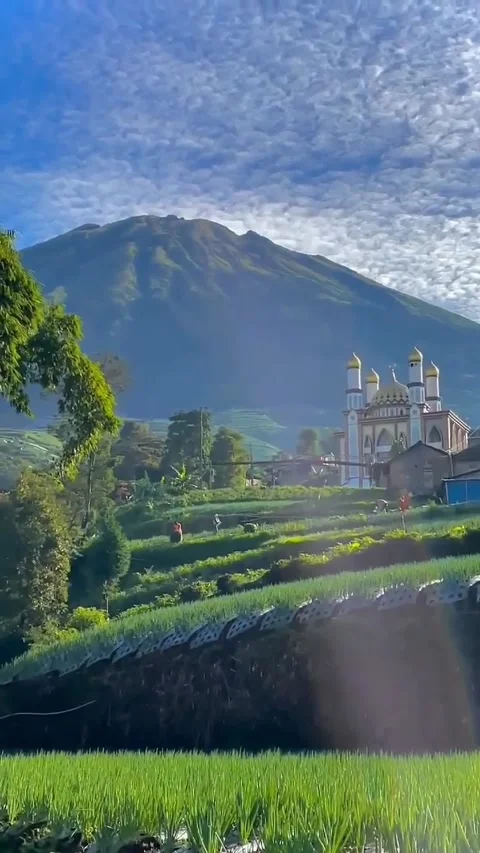 Fields and nature Stock Footage 222958542