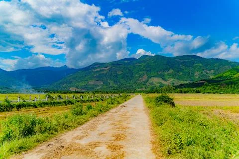 Fields and plantations. 스톡 사진