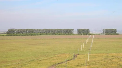 Fields and power lines Stock Footage 81029591