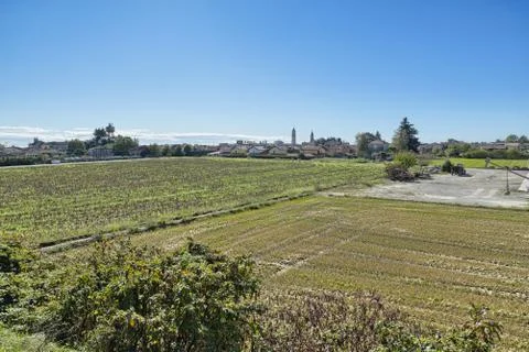 Fields and rice fields in north Italy. Borgo Vercelli, Piedmont region Stock Photos