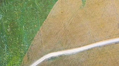 Fields and road aerial 動画素材 94184765