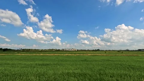 Fields and sky time lapse Stock Footage 167451689