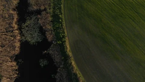 Fields and small lake by countryside Stock Footage 89901309
