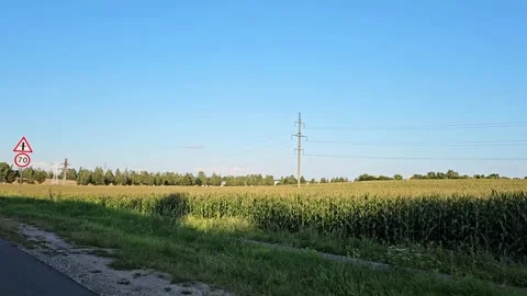 Fields and trees along the road. Driving along the fields Stock Footage 283660545