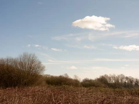 Fields and Trees Stock Photos