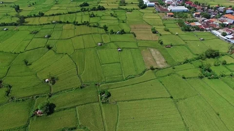 Fields and village, top view Stock Footage 53763136