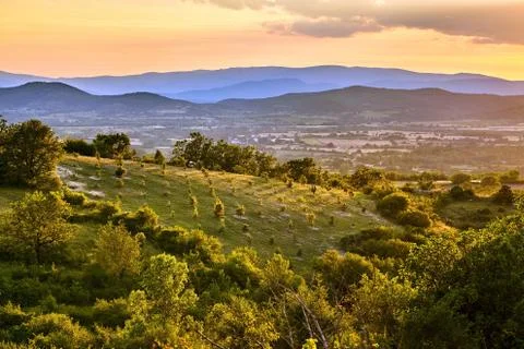 Fields and vineyards at sunset Stock Photos