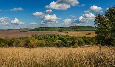  fields, arable land forests in autumn colors dry grasses Stock Photos