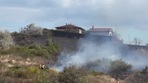 Fields are burning, and people fighting fire themselves. Stock Footage 218596277