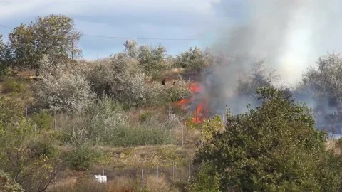 Fields are burning, and people put out the fire themselves. Stock Footage 218596283