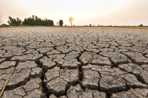 The fields are dry, the land is broken. And the evening sun. Foto stock