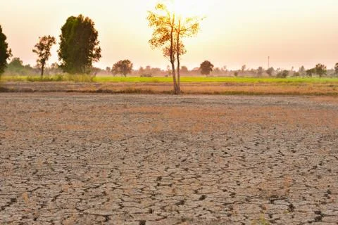 The fields are dry, the land is broken. And the evening sun. Foto stock