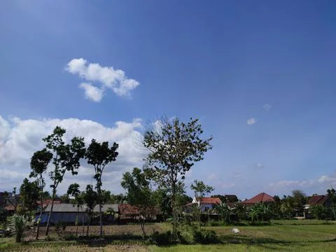 The fields are quite spacious and the view of the blue sky is beautiful Stock Photos