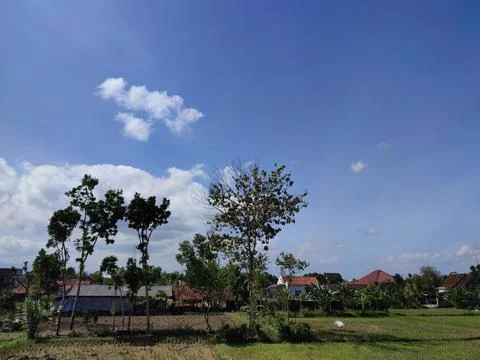 The fields are quite spacious and the view of the blue sky is beautiful 스톡 사진