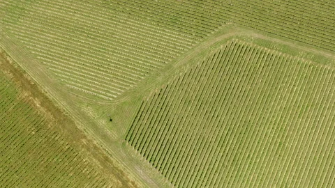 Fields in Australia drone video Stock Footage 242012738