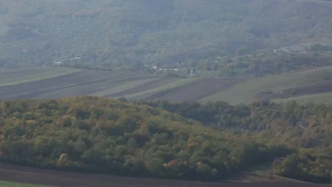 Fields with autumn colors 2 Stock Footage 317337785