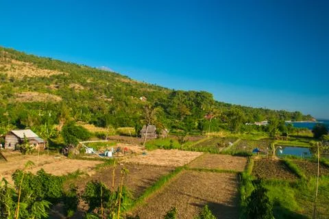 Fields in the bali countryside Stock Photos