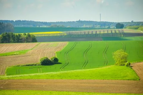 Fields of Bavaria Stock Photos