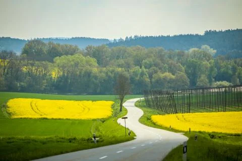 Fields of Bavaria Stock Photos