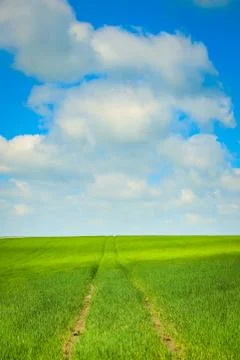 Fields of Bavaria Stock Photos