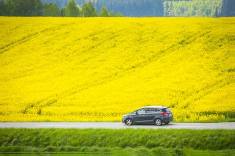 Fields of Bavaria Stock Photos