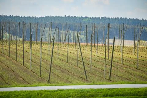 Fields of Bavaria Stock Photos