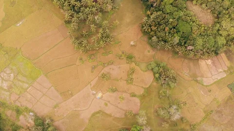 Fields between mountains Stock Footage 105907756