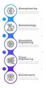 Fields of bioengineering blue gradient circle infographic 5 steps 库存插图