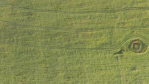Fields from a bird's-eye view. Green meadows at sunset. Stock Footage 135675621