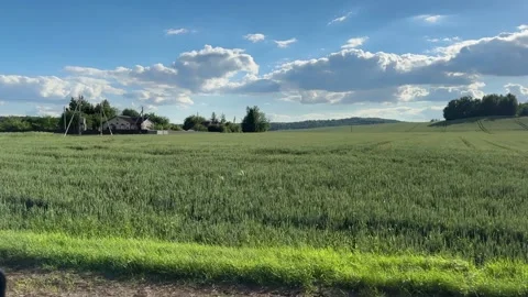 Fields blur past the car window on a bright summer afternoon, green country.. Stock Footage 338397914
