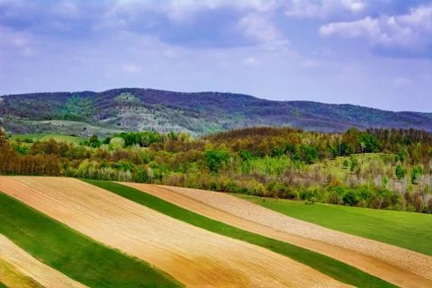 Fields in Carpathian mountains Stock Photos