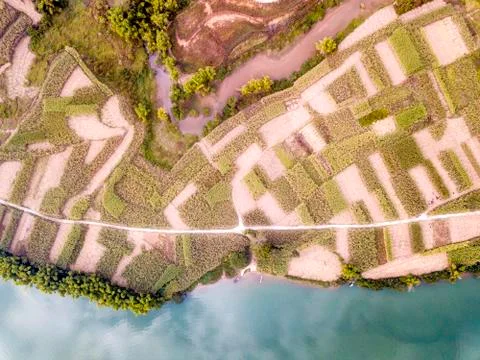 The fields in Chongzuo Stock Photos