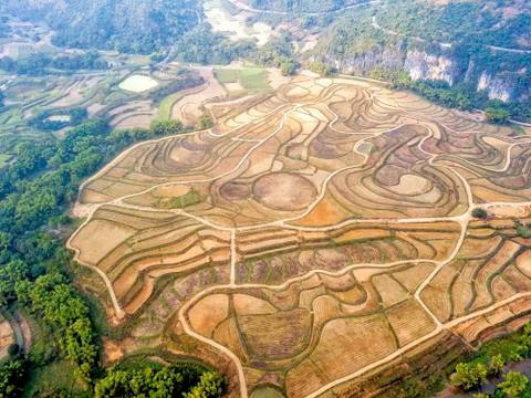 The fields in Chongzuo Stock Photos